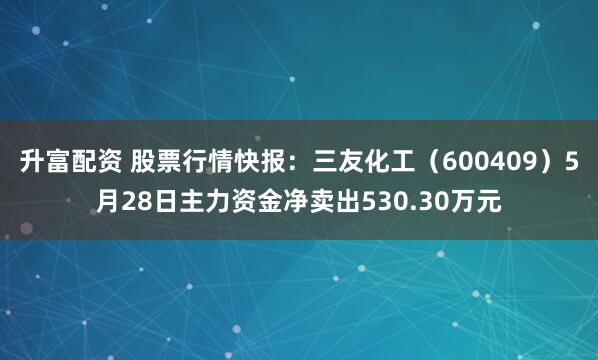 升富配资 股票行情快报：三友化工（600409）5月28日主力资金净卖出530.30万元