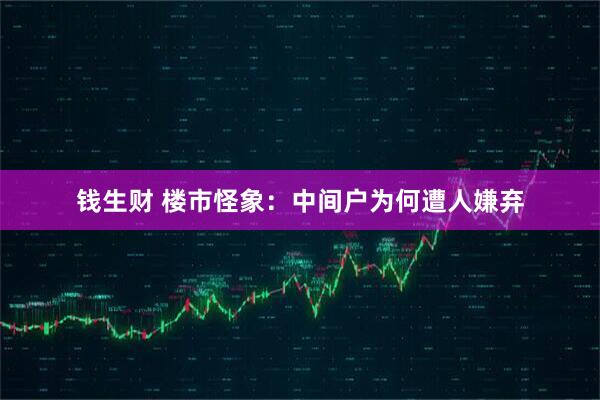 钱生财 楼市怪象：中间户为何遭人嫌弃