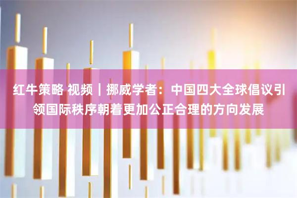 红牛策略 视频｜挪威学者：中国四大全球倡议引领国际秩序朝着更加公正合理的方向发展