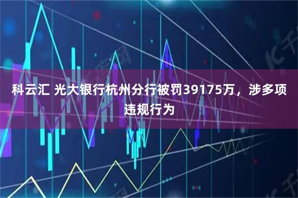 科云汇 光大银行杭州分行被罚39175万，涉多项违规行为