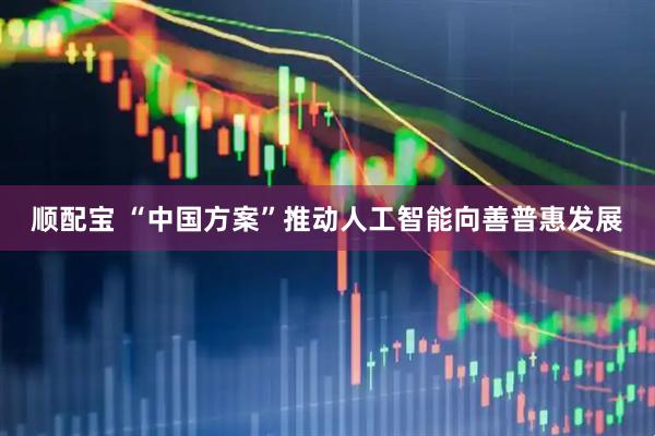 顺配宝 “中国方案”推动人工智能向善普惠发展